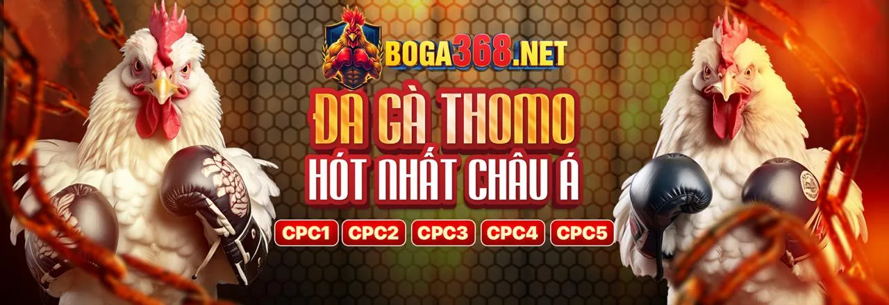 Hình ảnh chính sòng bạc trực tuyến P3BET