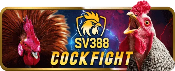 Giao diện người dùng hiện đại và dễ sử dụng của p3bet